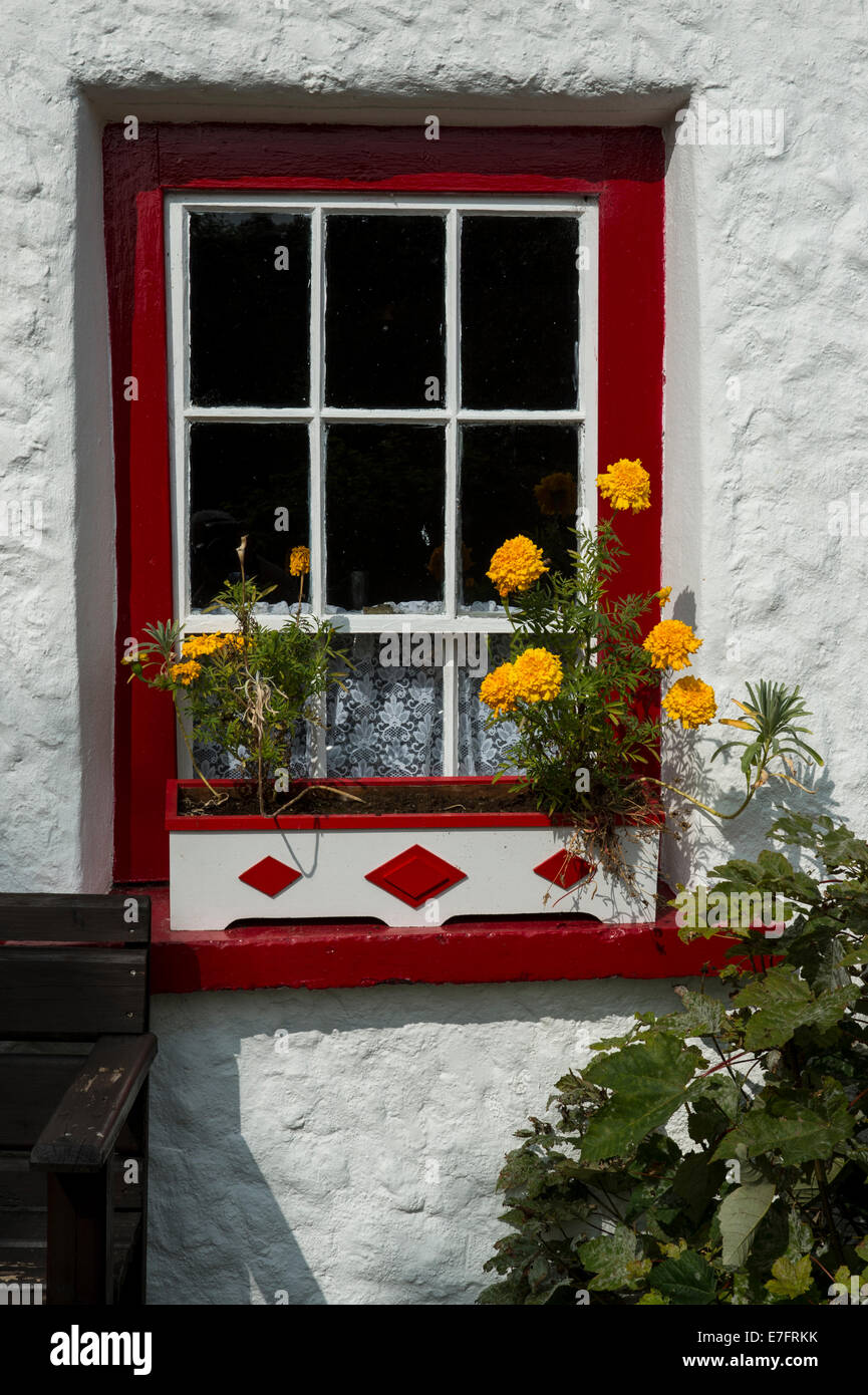 Colourful window and window box of Smiths Traditional Cottage
