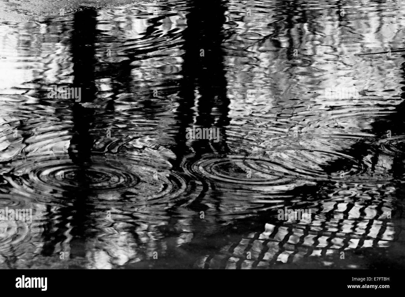 The reflections of the trees and the greed on the water with ripples in ...