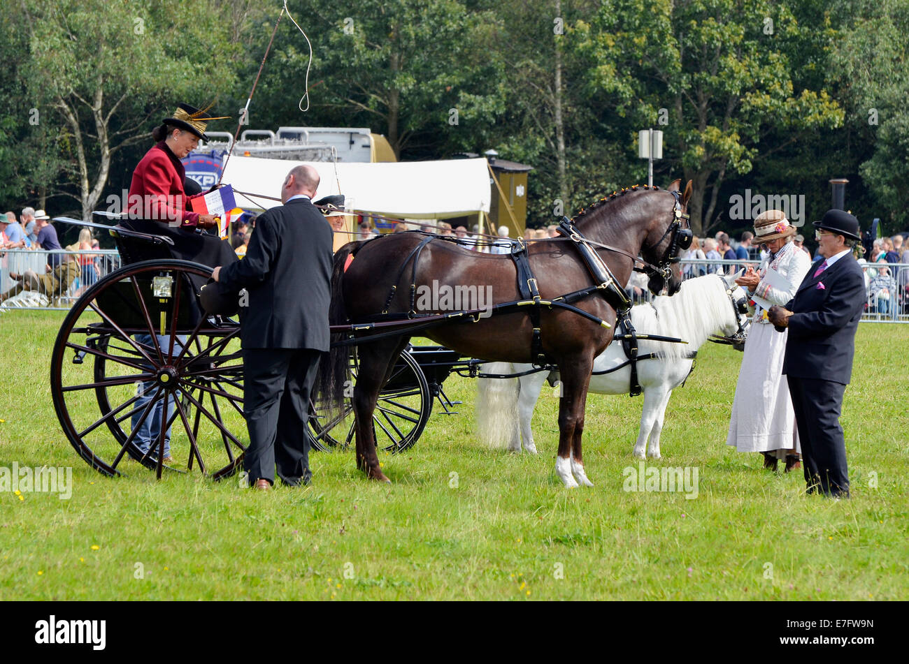 Judging of immaculate and well turned out carriages and horses at Romsey Show 2014. Stock Photo