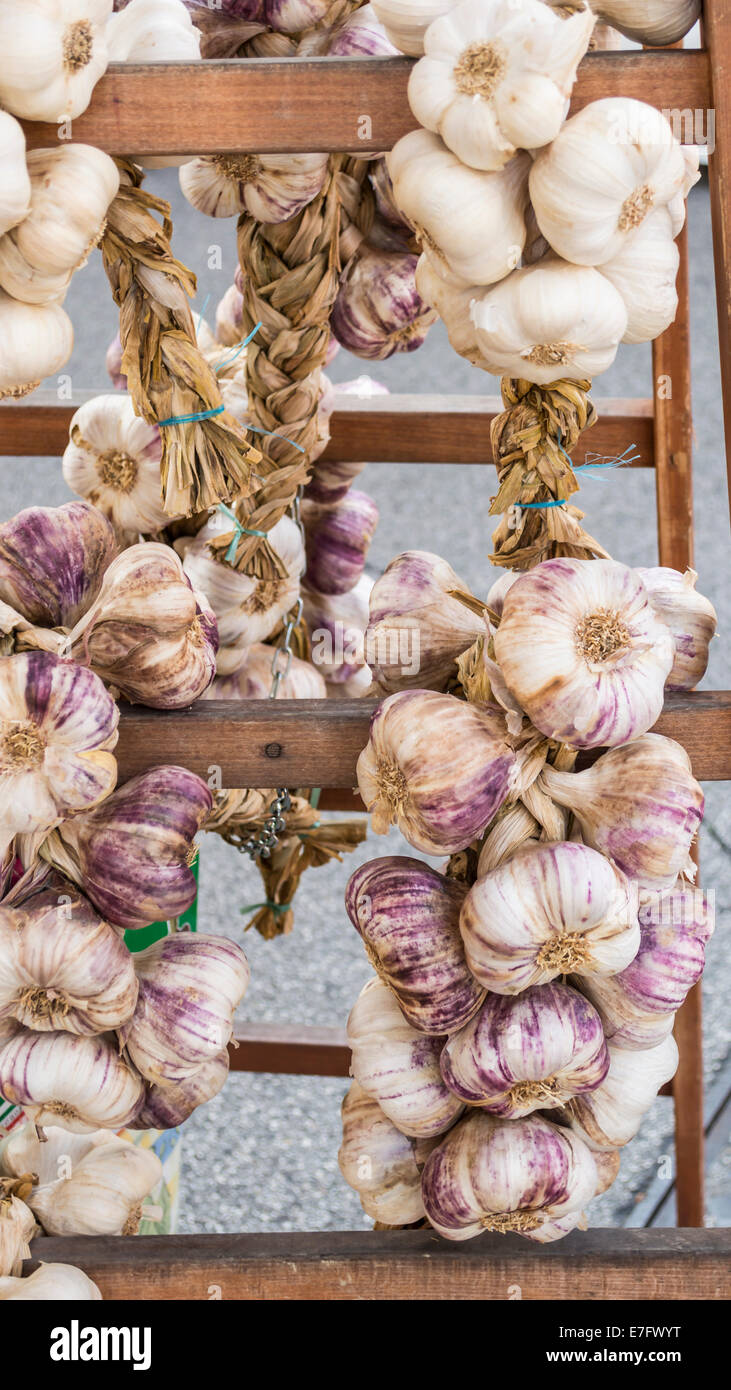 braids of garlic for sale at the local market Stock Photo - Alamy