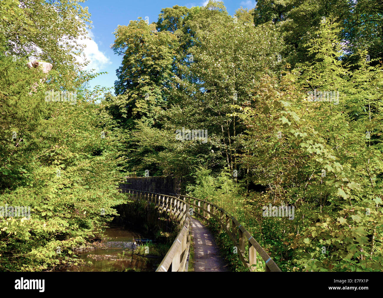 Footbridge crossing water in the woods of Skipton Castle. Stock Photo