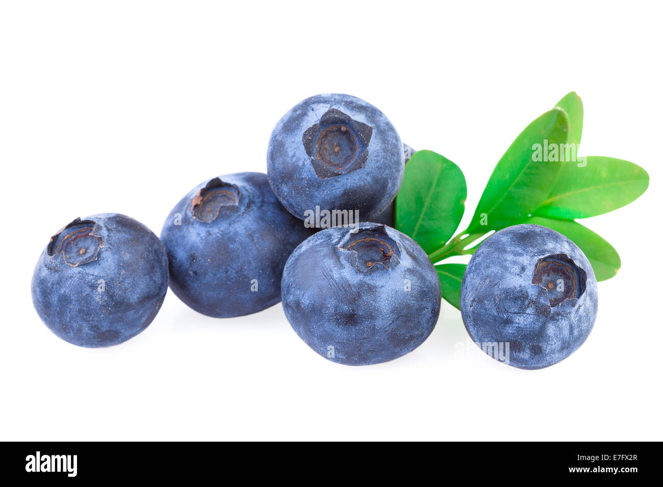 Blueberries isolated Stock Photo