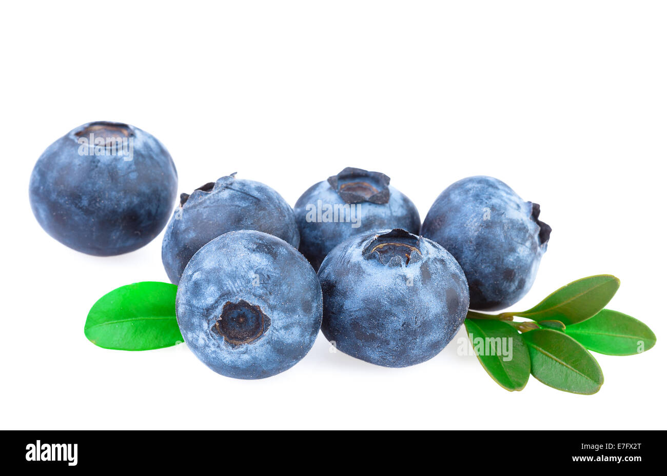 Close up of Blueberries Stock Photo