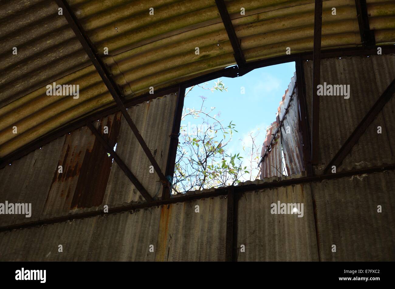 Disused corrugated iron farm building Stock Photo Alamy