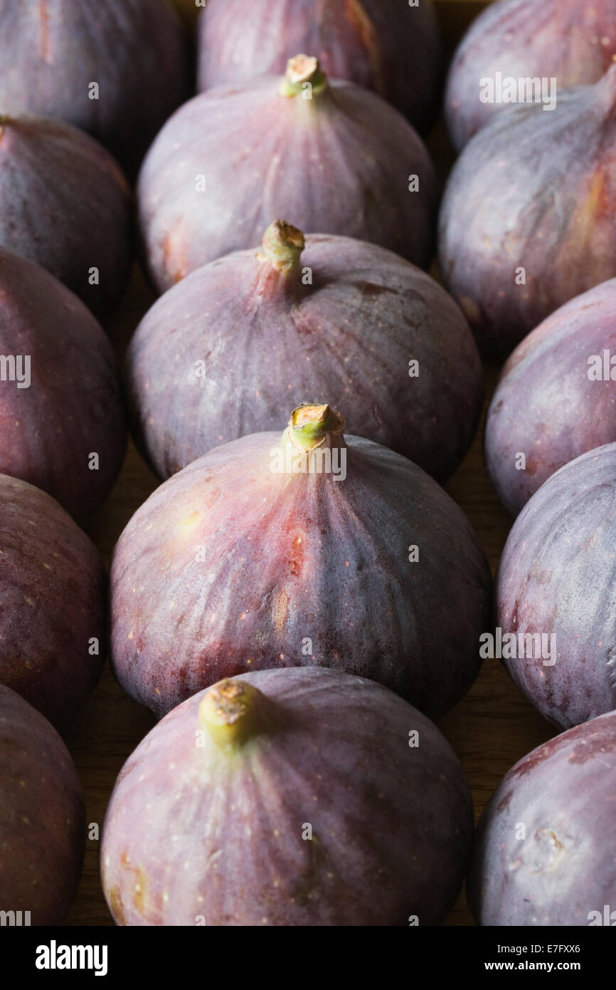 Ficus carica. Figs on a wooden board. Stock Photo