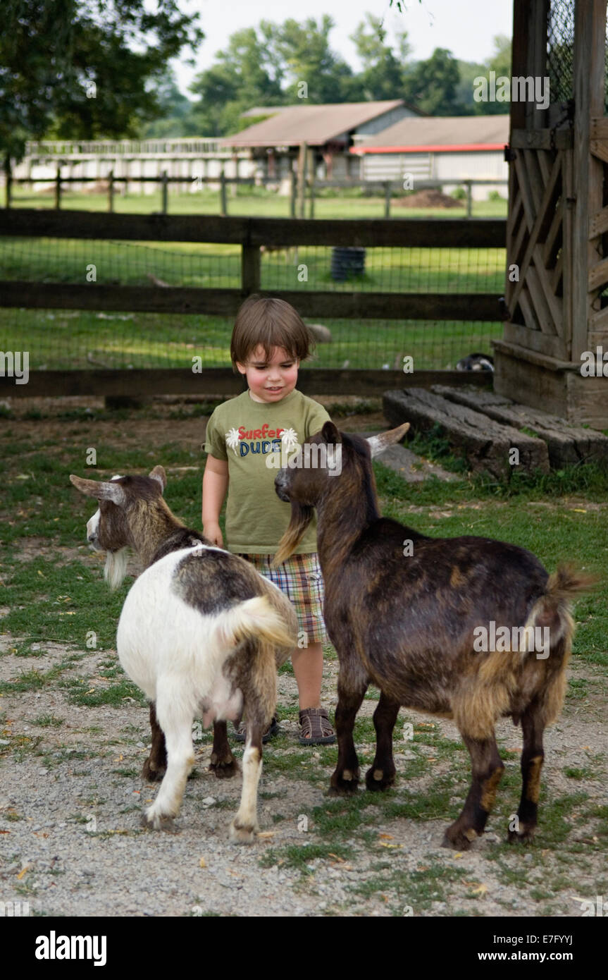 Young Boy With Goats at Henry's Ark in Prospect Kentucky Stock Photo