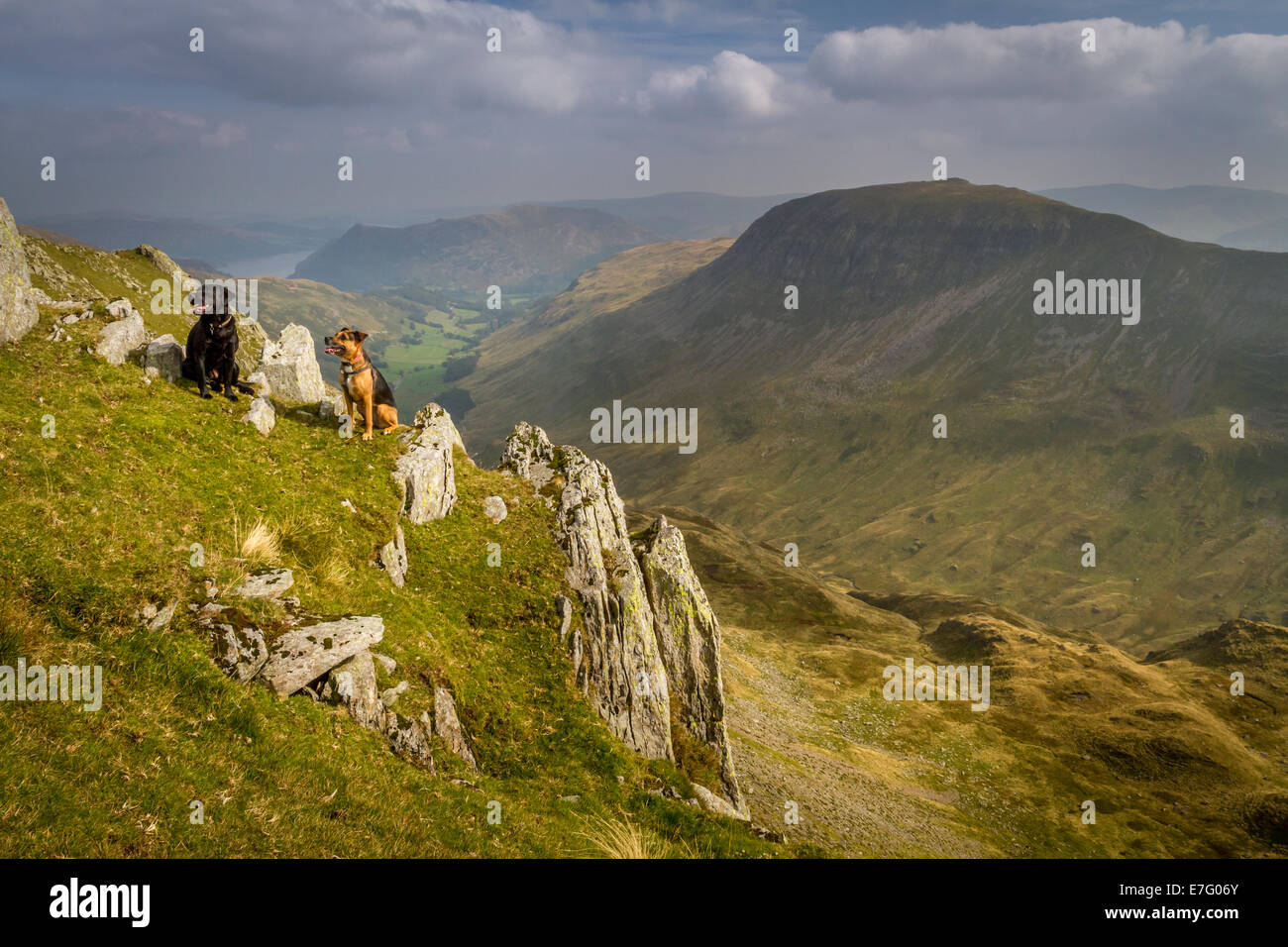 Heading up Dollywagon towards Nethermost Pike & Helvellyn with St Sunday Crag to the right, Lake District, UK Stock Photo
