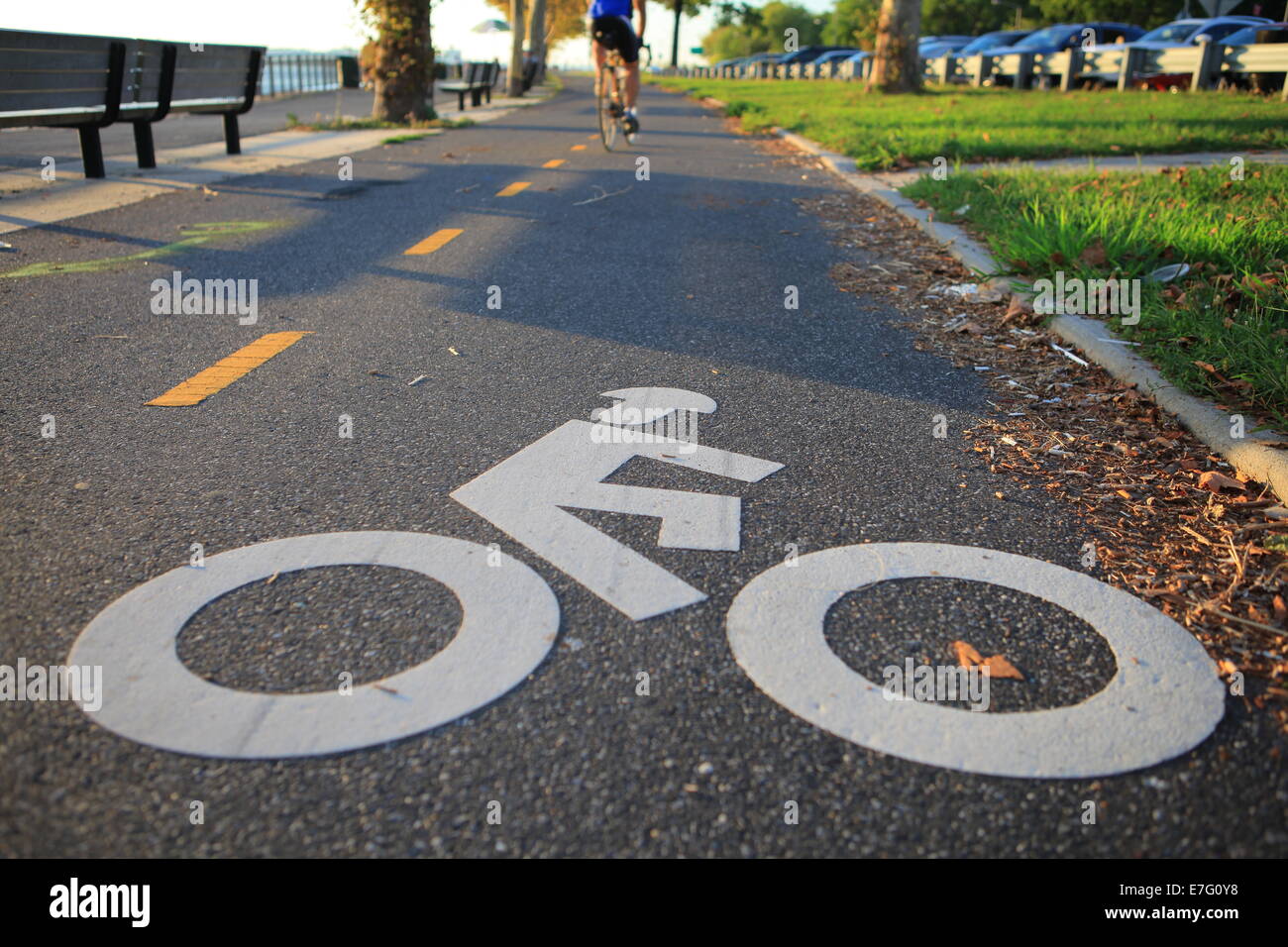 bike lanes brooklyn