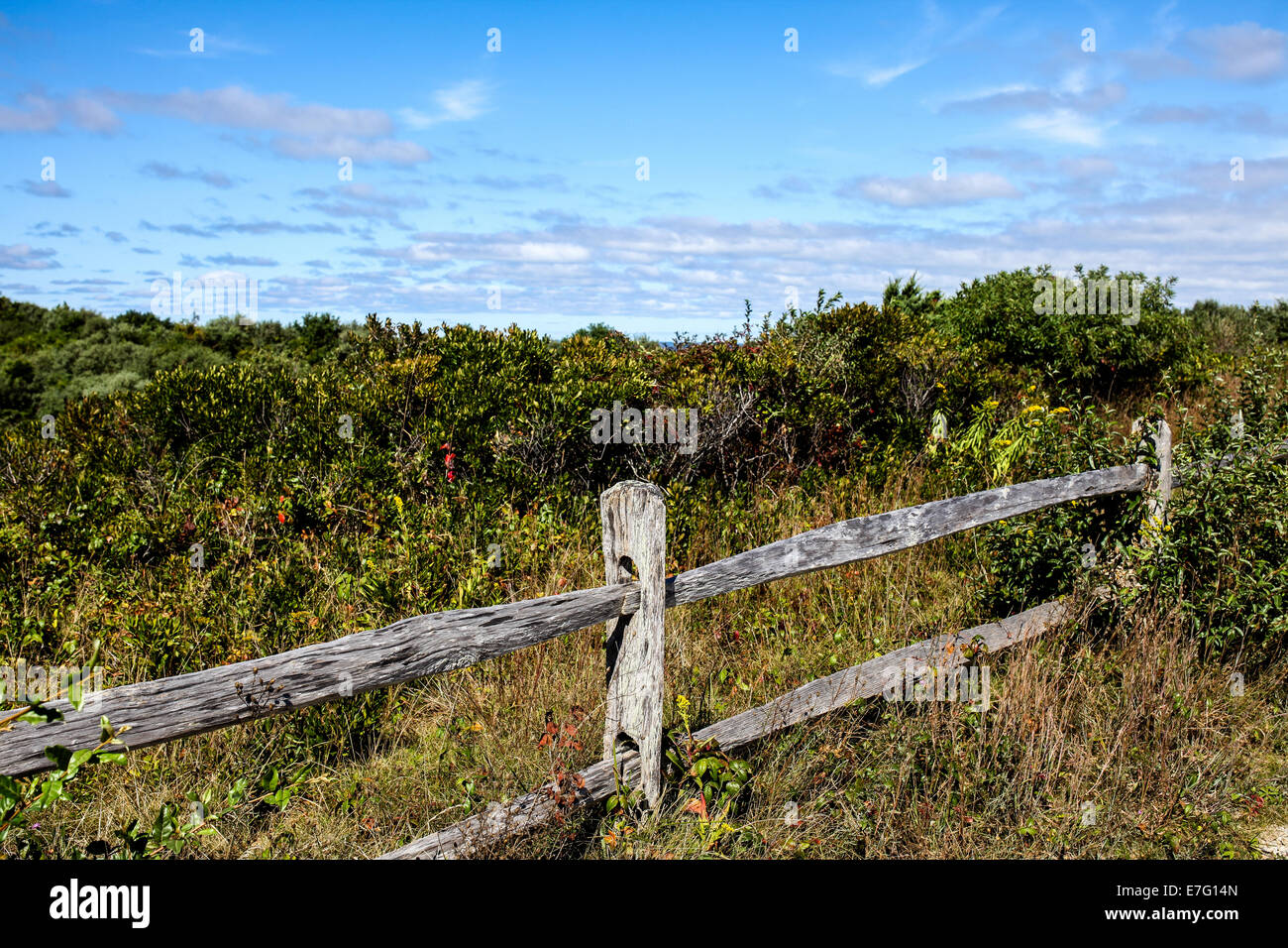 Wooden fence with blue sky Stock Photo - Alamy