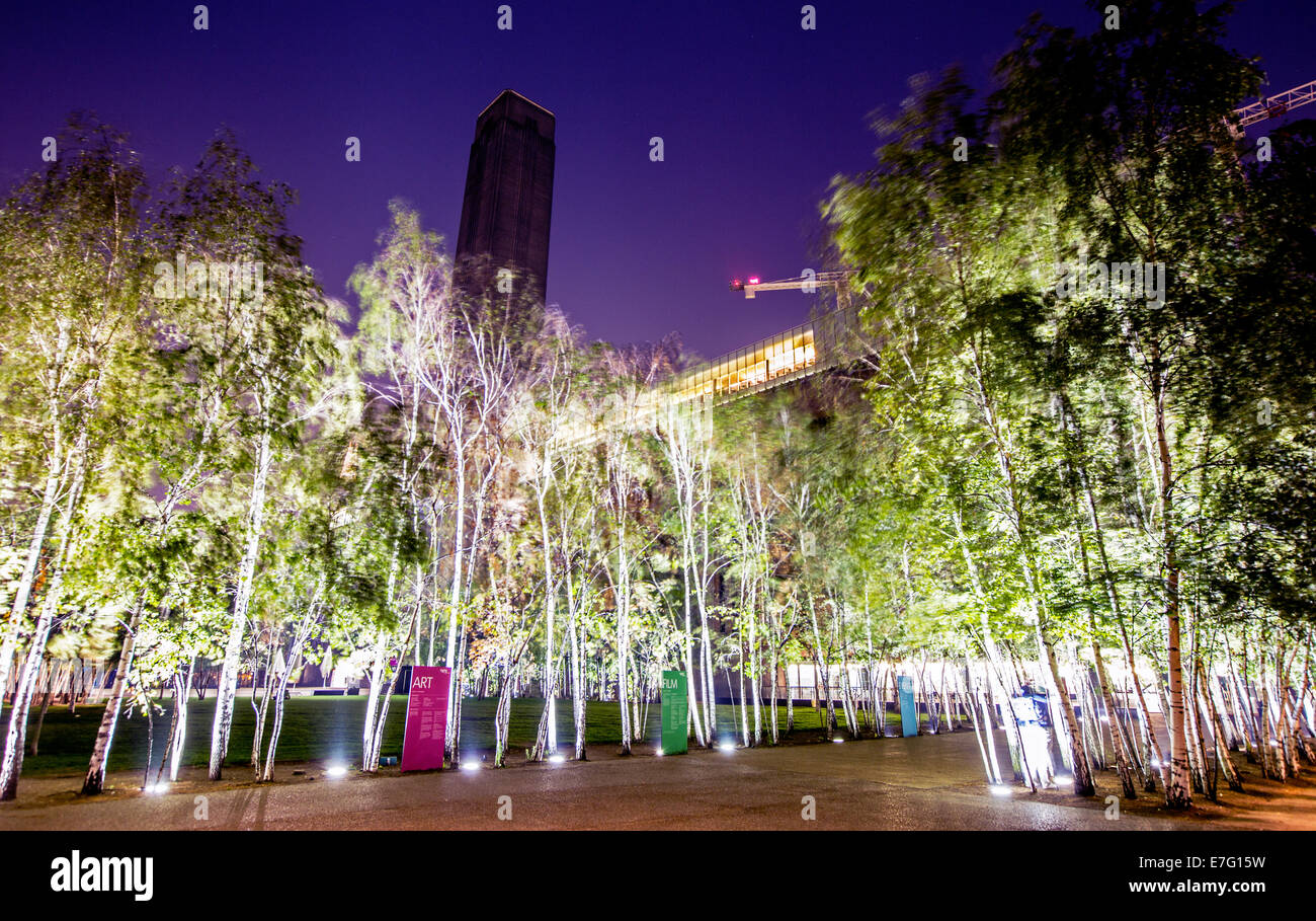 Silver Birch Trees outside the Tate Modern At Night London UK Stock
