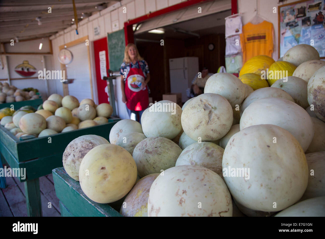 Green River, Utah - Melons from Dunham Farms for sale at a roadside stand. Stock Photo