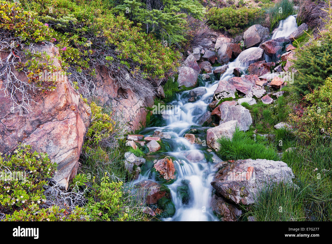 Stream with spring snow melt rushes off the flanks of Mt Lassen Volcanic National Park in Northern California. Stock Photo