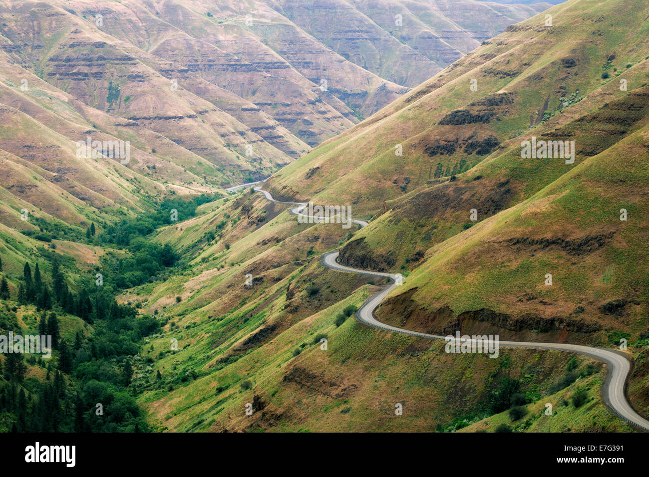 This section of Highway 3 is known as Rattlesnake Grade dropping down