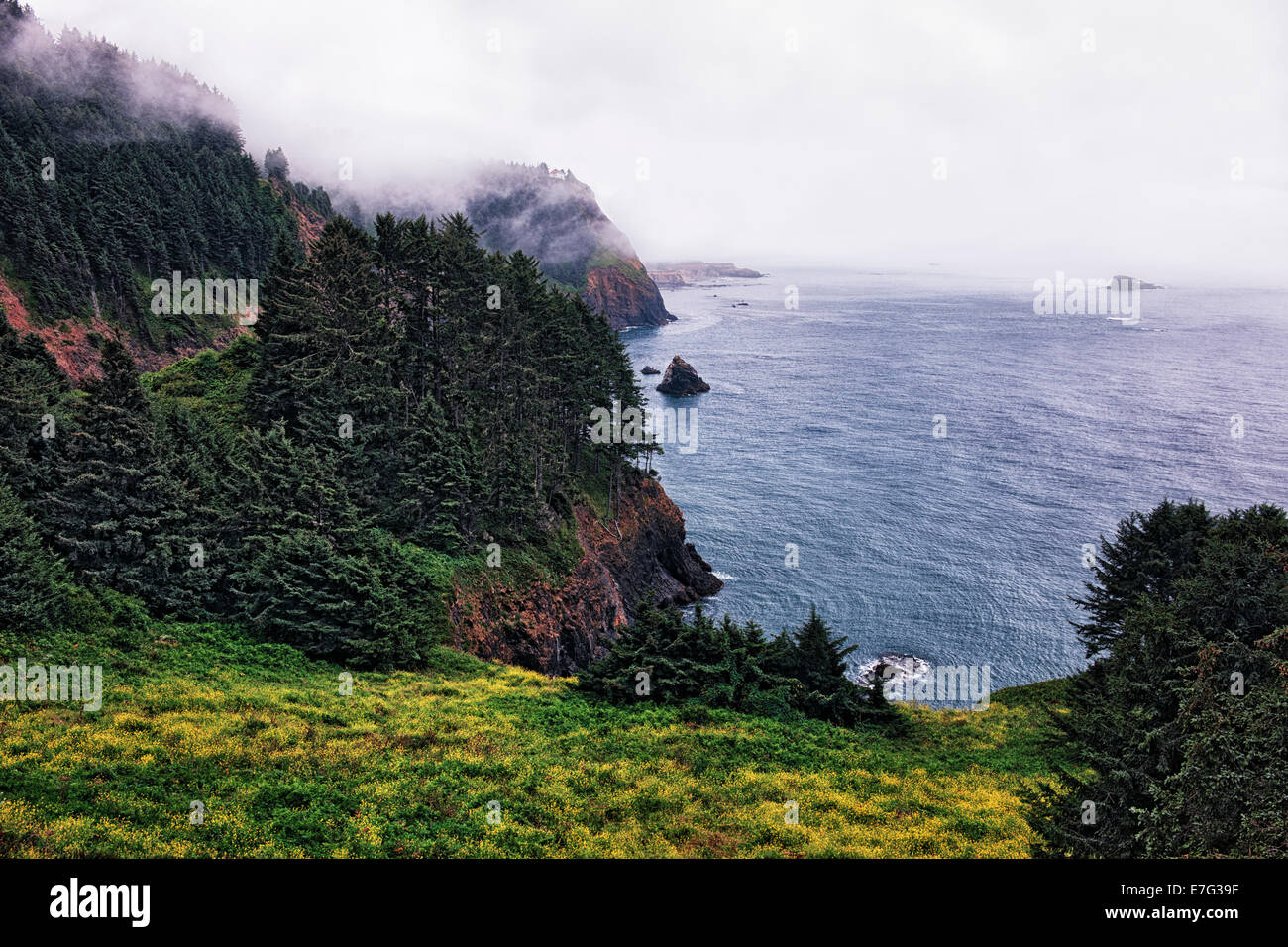 Summer fog lifts along Oregon's central coast revealing the Otter Crest State Scenic Viewpoint and Cape Foulweather. Stock Photo