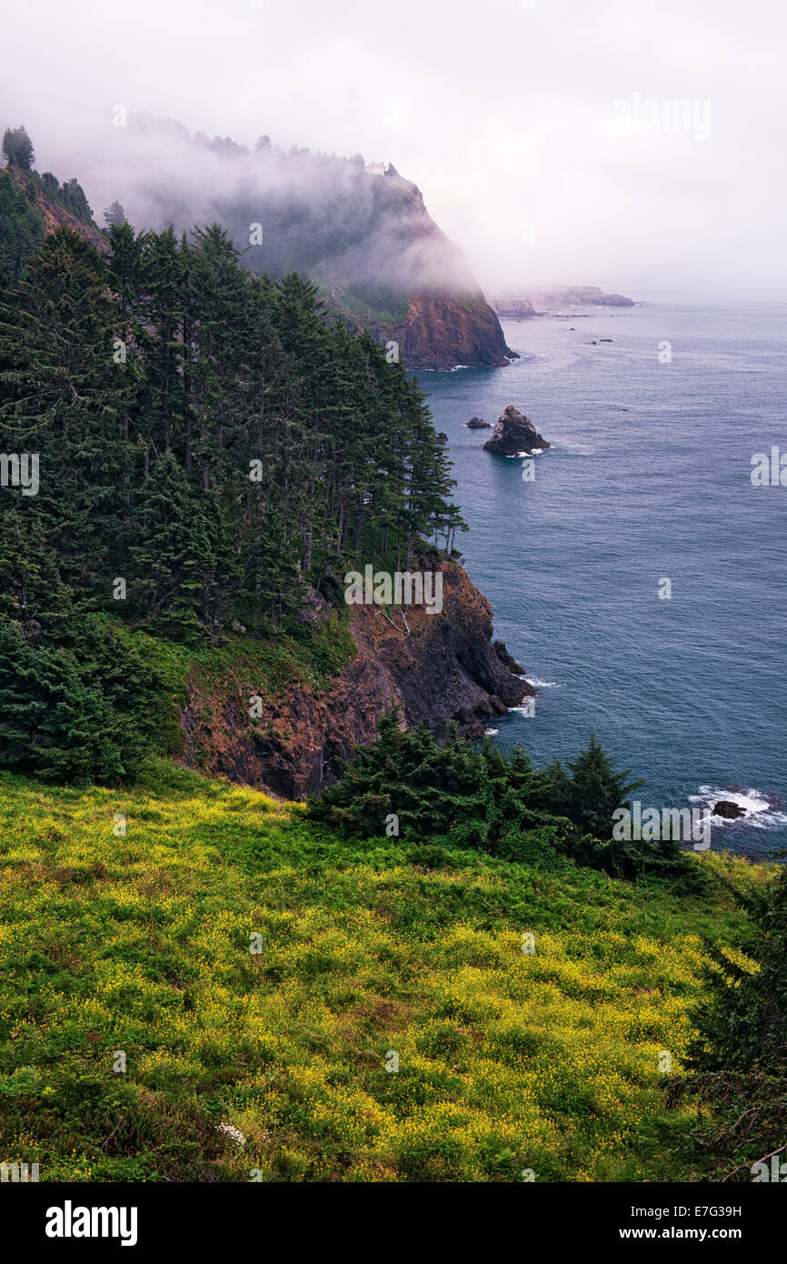 Summer fog lifts along Oregon's central coast revealing the Otter Crest State Scenic Viewpoint and Cape Foulweather. Stock Photo