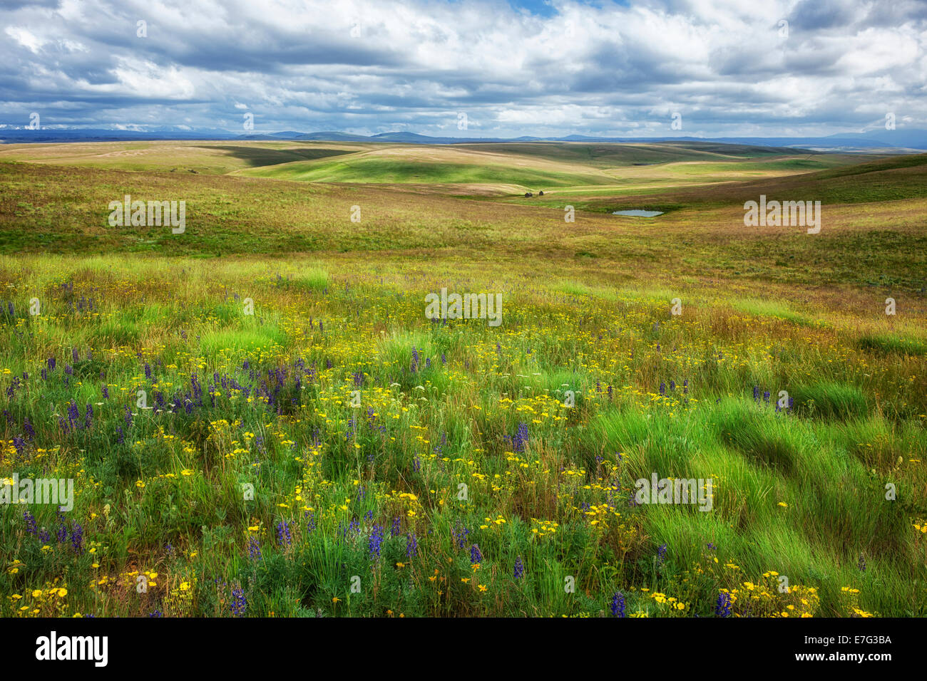 Sun breaks over the rolling hills of NE Oregon’s Zumwalt Prairie ...