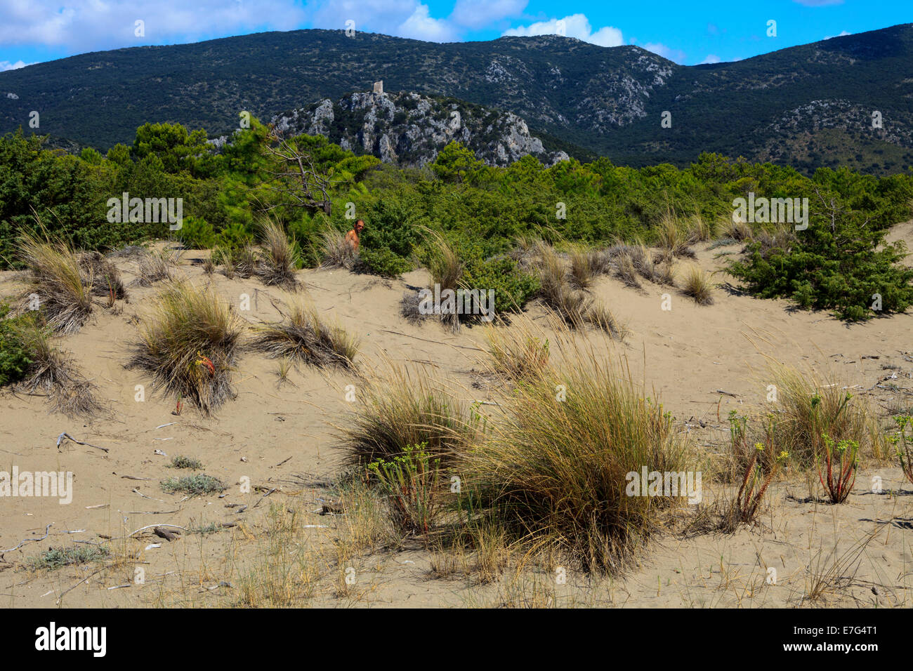 Uccellina Natural Reserve, Alberese, Grosseto, Tuscany, Italy, Europe Stock Photo