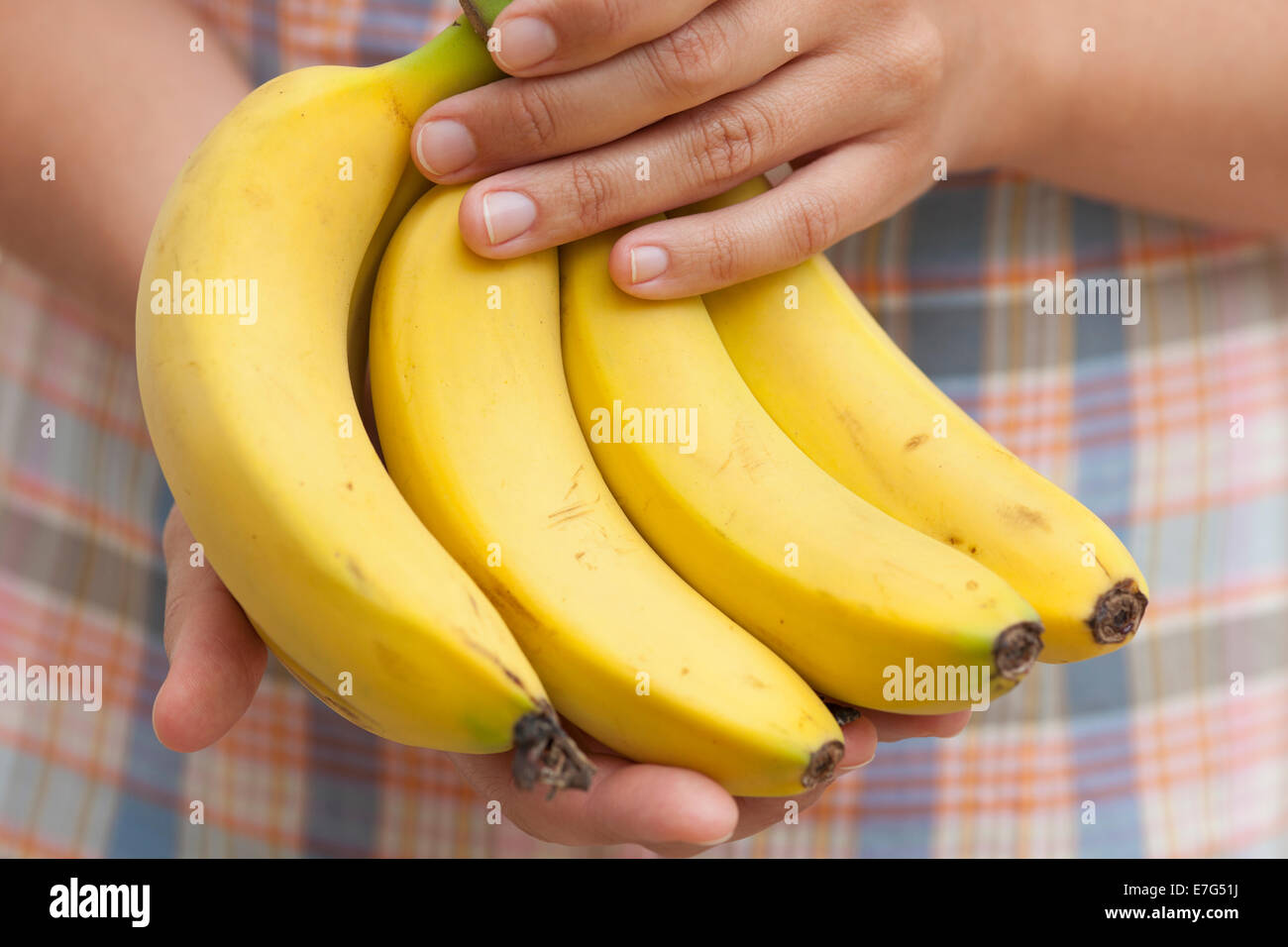 Bunch of organic banana in hands Stock Photo Alamy