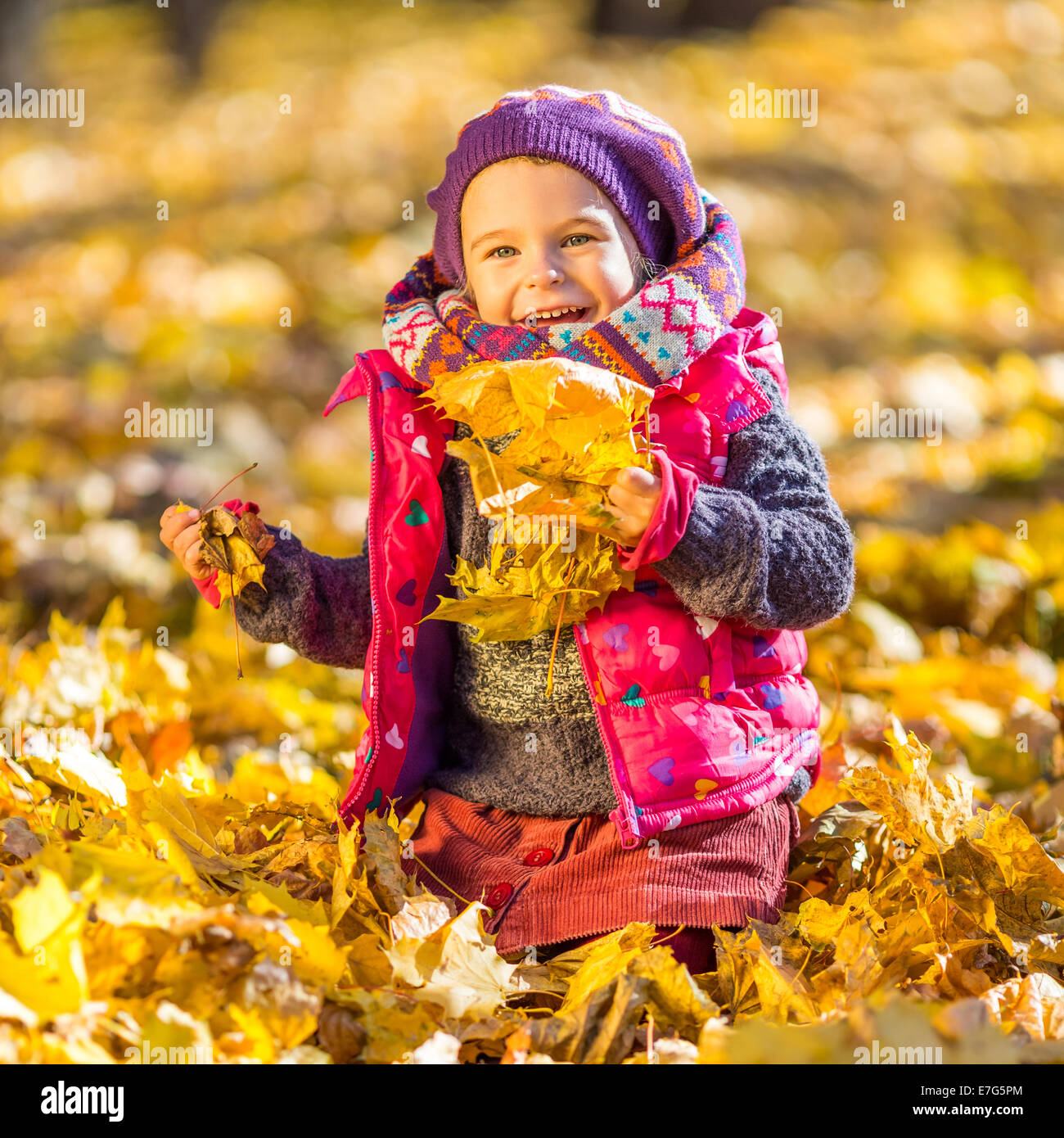 Little girl playing with autumn leaves Stock Photo - Alamy