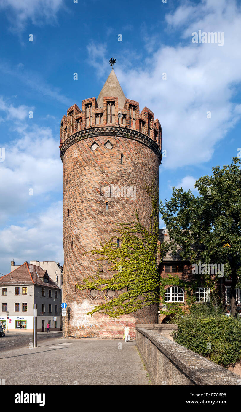 Steintorturm, defense tower of the medieval fortifications, Brandenburg an der Havel, Brandenburg, Germany Stock Photo