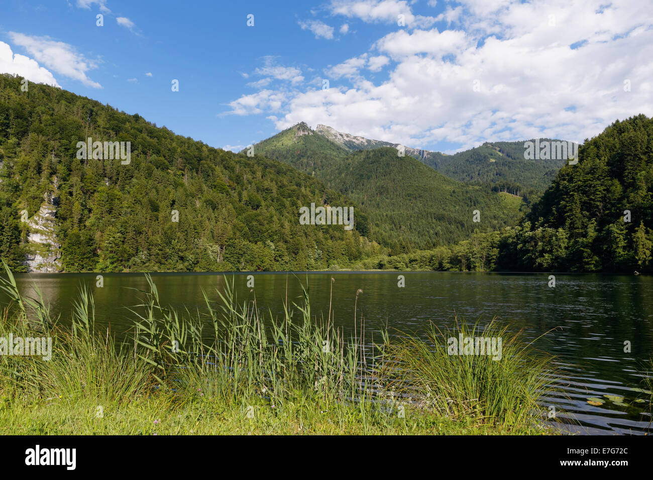 Krotensee lake with Schafberg, St. Gilgen, Salzkammergut, Salzburg state, Salzburg State, Austria Stock Photo