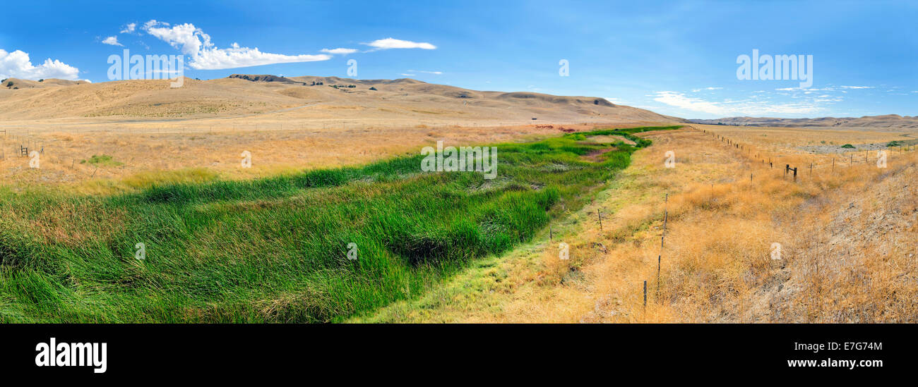 Green fertile river bed of the Cholame Creek in the middle of the dry California hills and grasslands at the Bitter Water Road Stock Photo