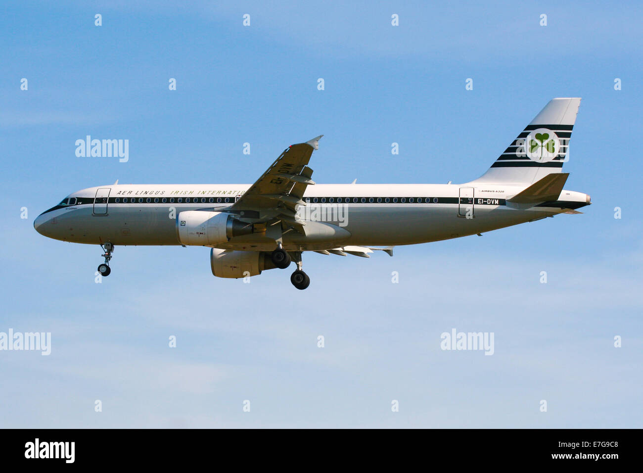 Aer Lingus (Retro) Airbus A320 approaches runway 27L at London Heathrow airport. Stock Photo