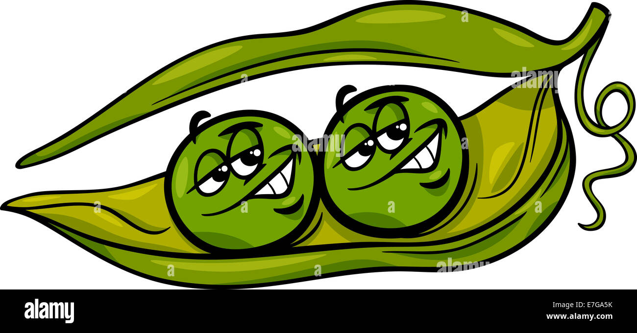Cartoon Humor Concept Illustration of Like Two Peas in a Pod Saying or Proverb Stock Photo