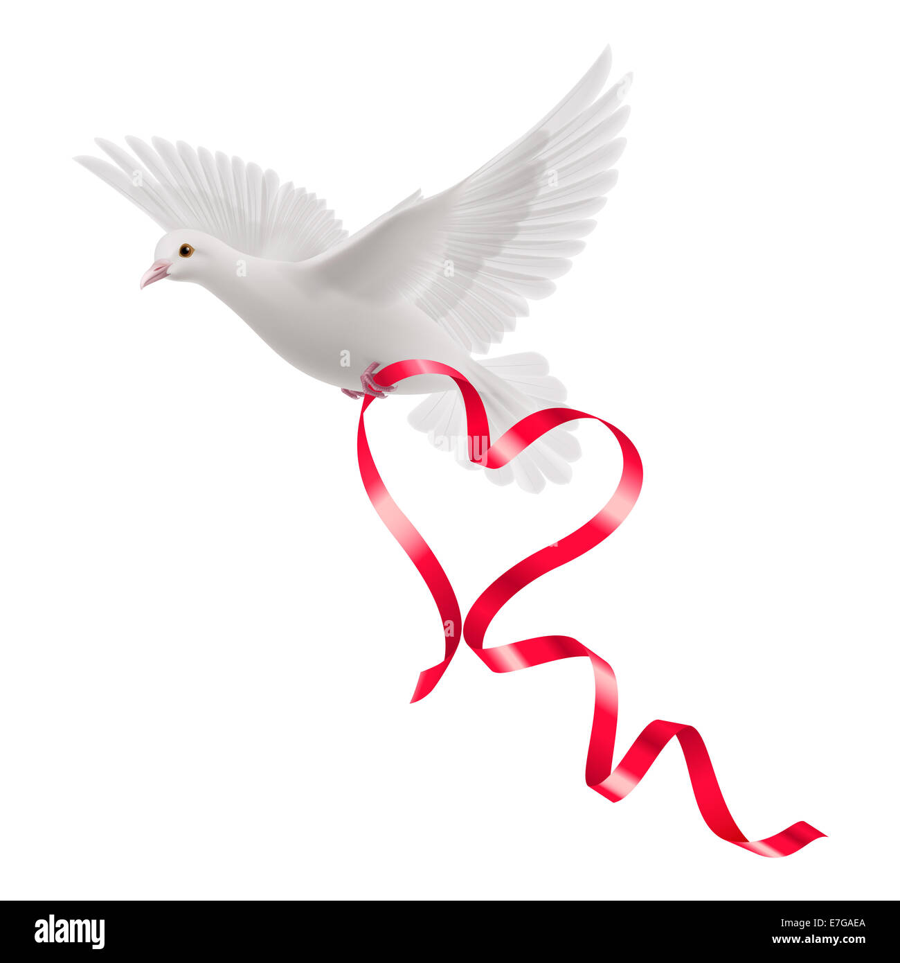 White dove with red ribbon in the white background Stock Photo - Alamy