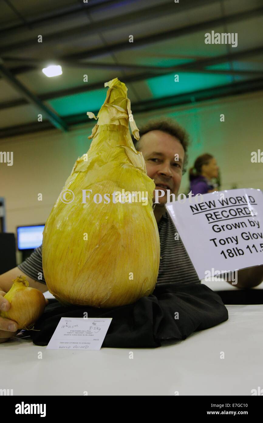 Tony Glover with his world record onion Stock Photo