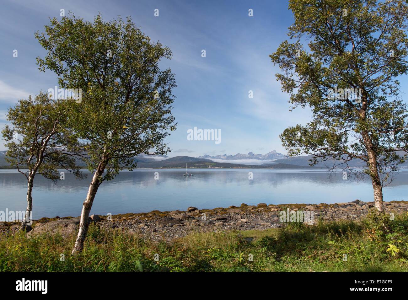 autumn in Northern Norway Stock Photo