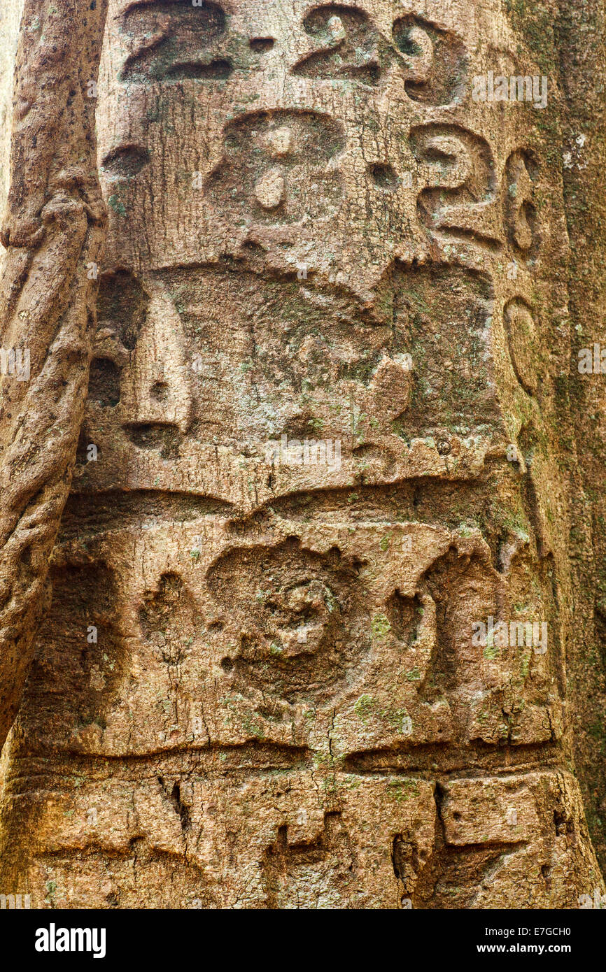 Festoon falls hires stock photography and images Alamy