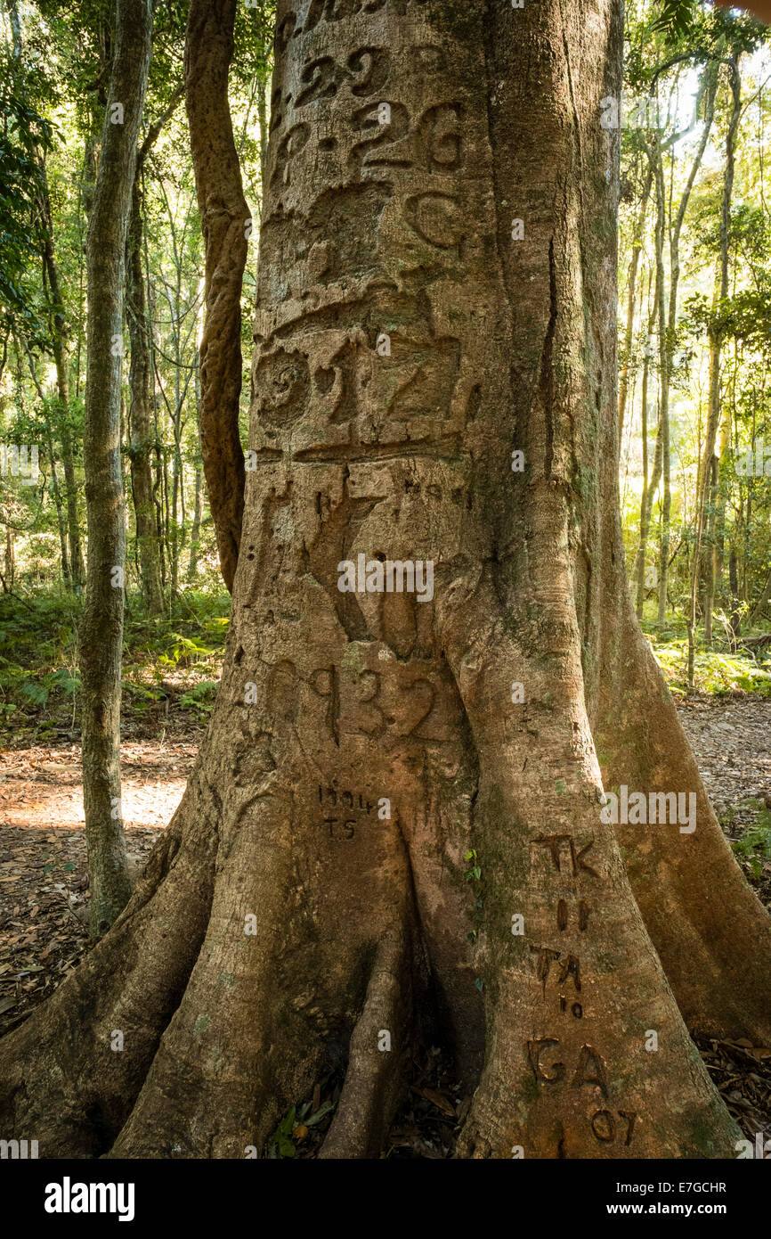 On the Festoon Falls Walk Stock Photo Alamy