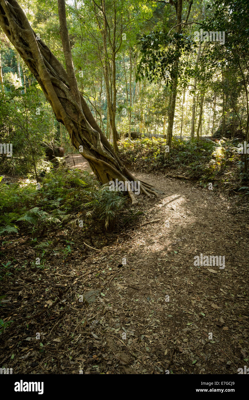 Festoon falls hires stock photography and images Alamy
