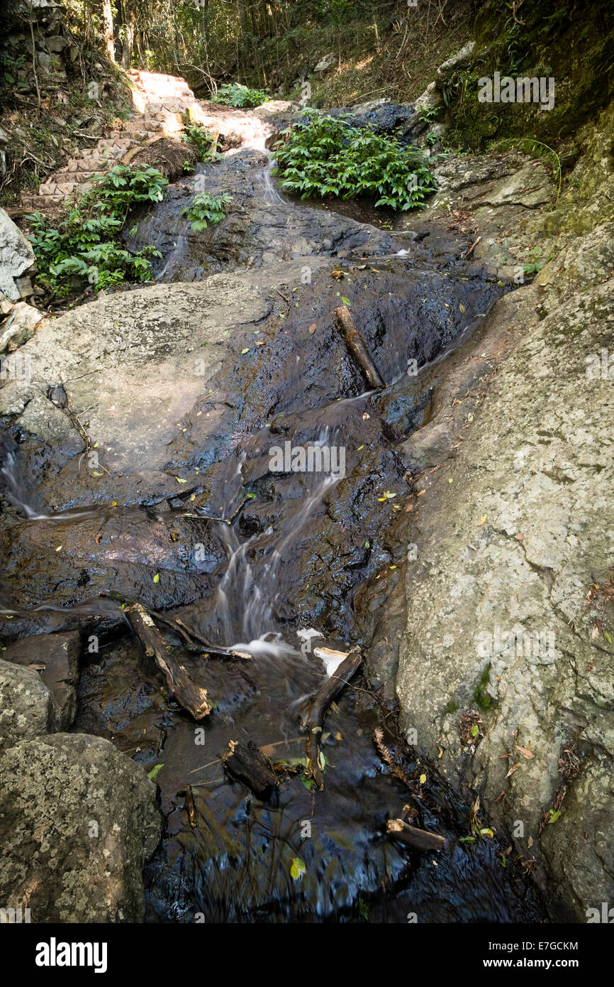 On the Festoon Falls Walk Stock Photo Alamy