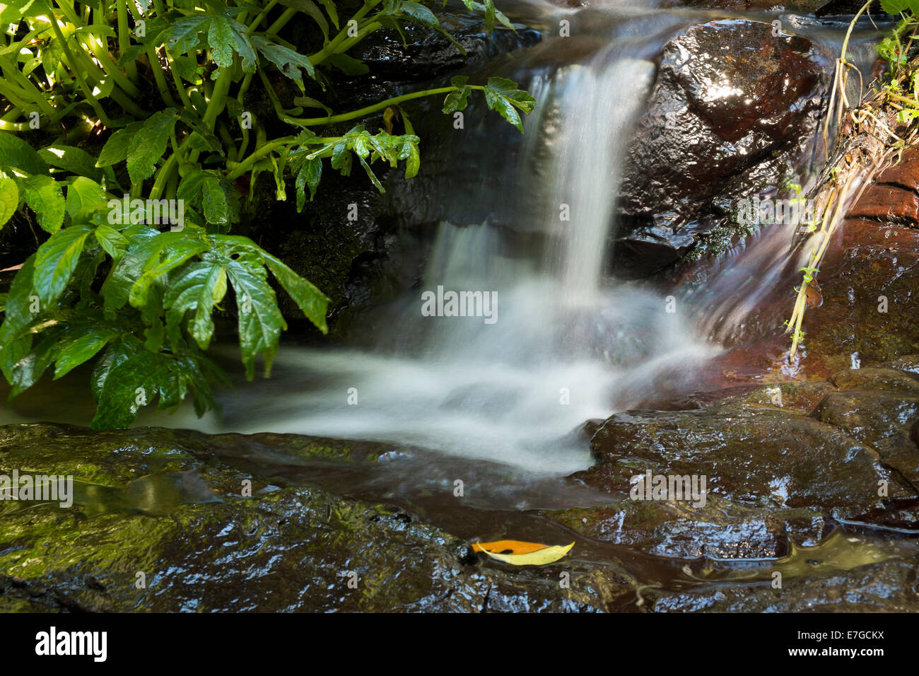 On the Festoon Falls Walk Stock Photo Alamy