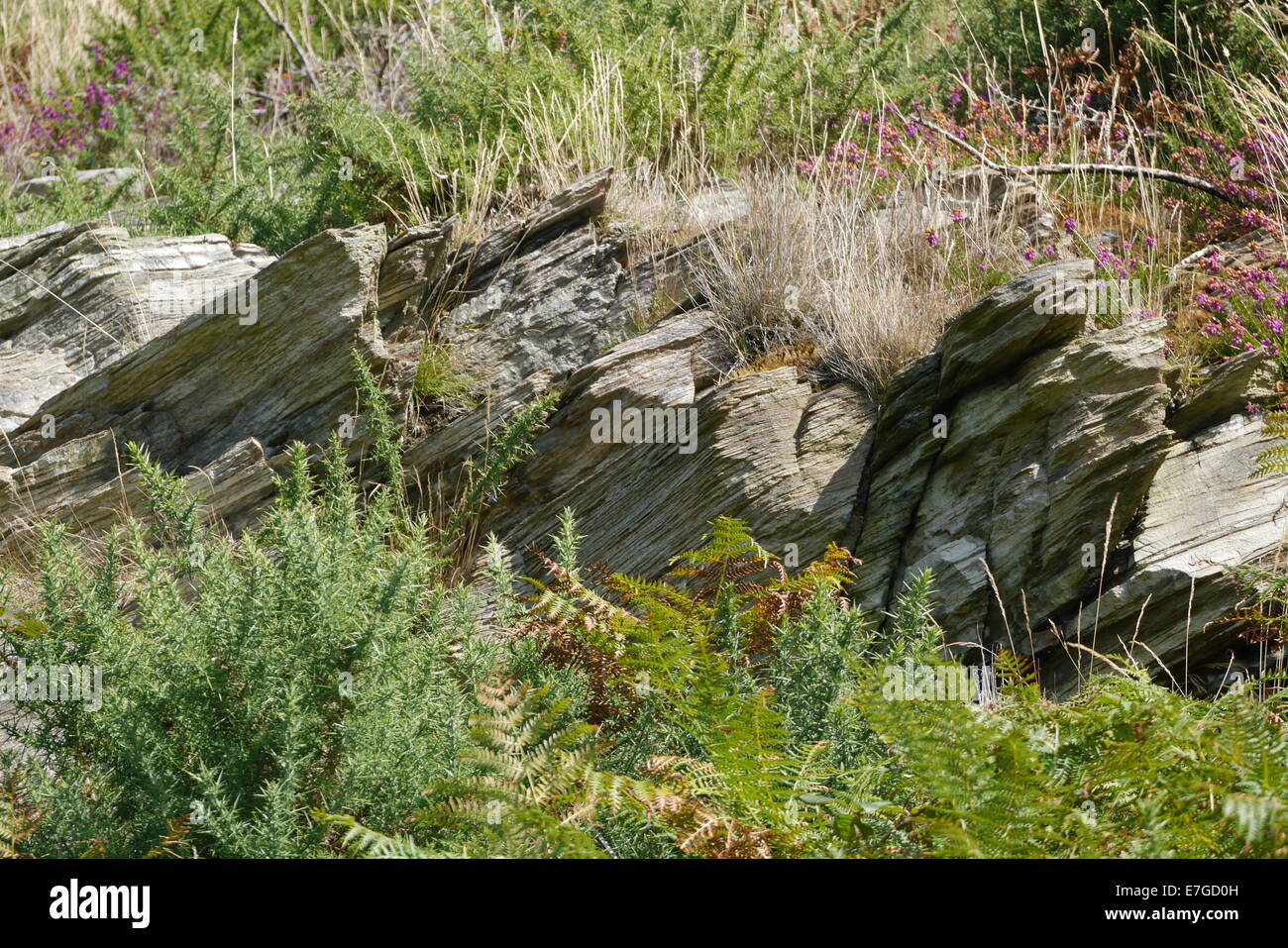 texture rocks mountain cracks hill with color shades Grey black white ...