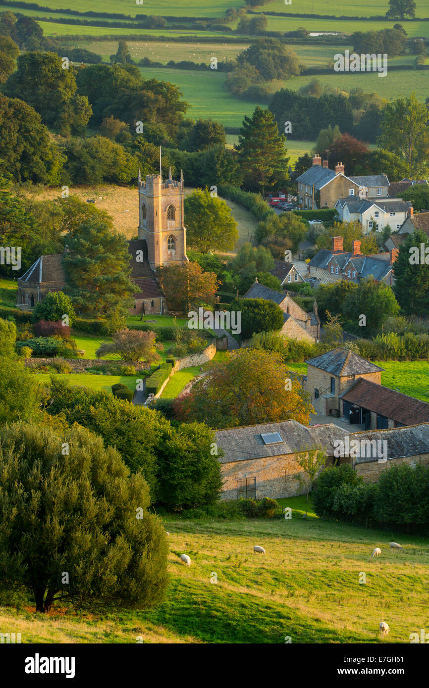 Evening sunlight over Corton Denham, Somerset, England Stock Photo