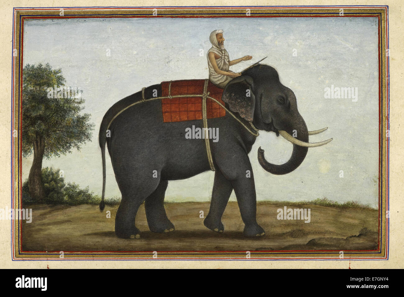 An elephant keeper riding his elephant - Tashrih al-aqvam (1825), f.117v - BL Add. 27255 Stock Photo