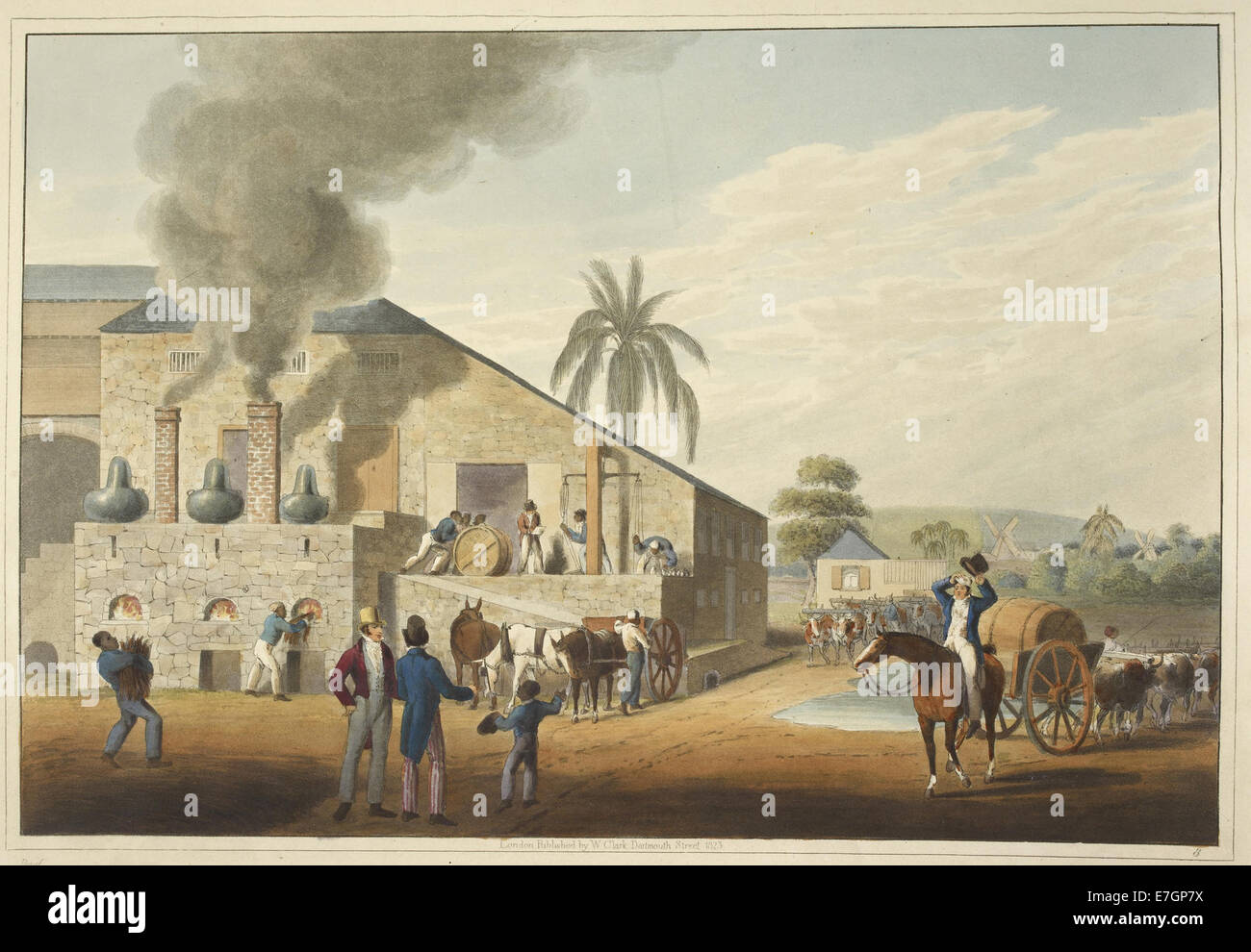 Curing-house and stills - Ten Views in the Island of Antigua (1823), plate VIII - BL Stock Photo