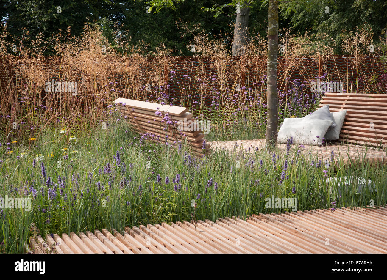 Stipa gigantea - Verbena bonariensis and grasses in a small garden - wooden deck area seating on decking at Tatton Park RHS flower Stock Photo
