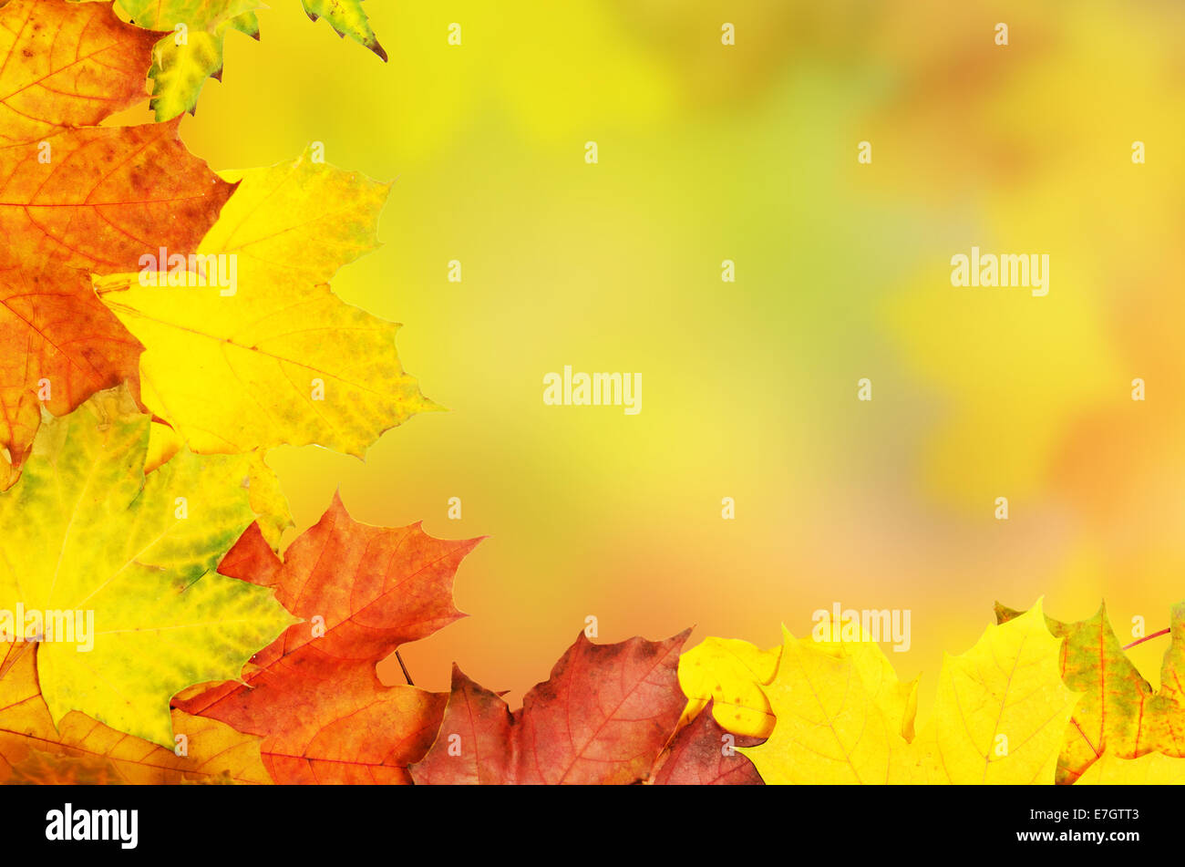 Autumn leaves frame Stock Photo - Alamy