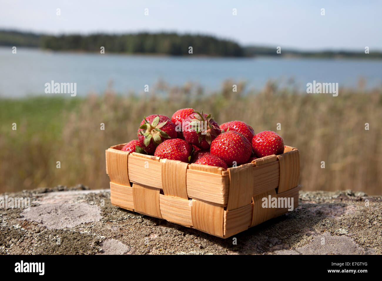 Strawberries in a small wooden basket on rock Stock Photo