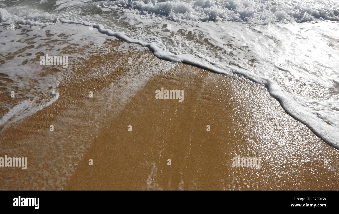 Kaʻaʻawa, Hawaii visual data 8