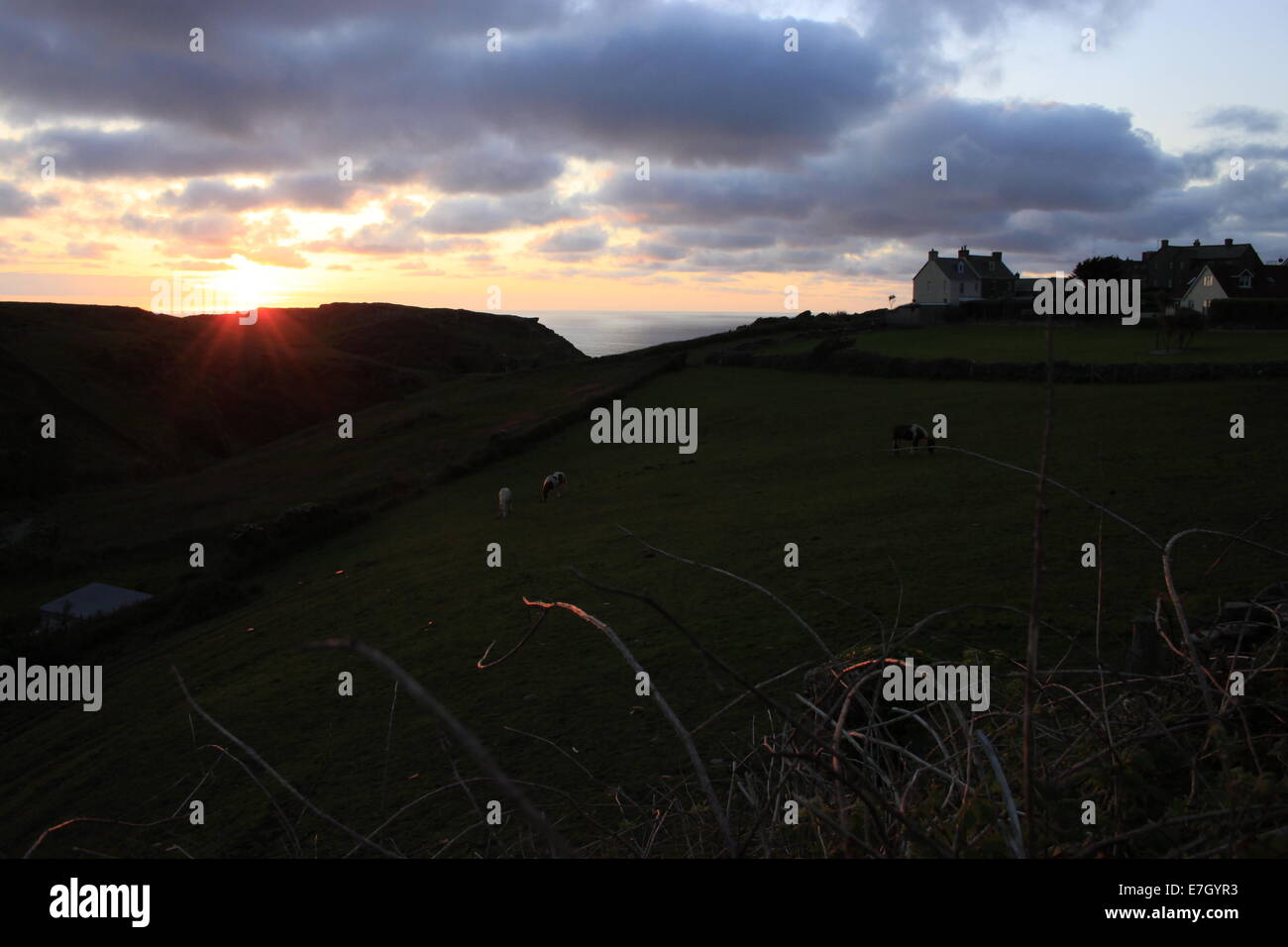 Sunset looking out to sea and castle at Tintagel, Cornwall, UK. Stock Photo