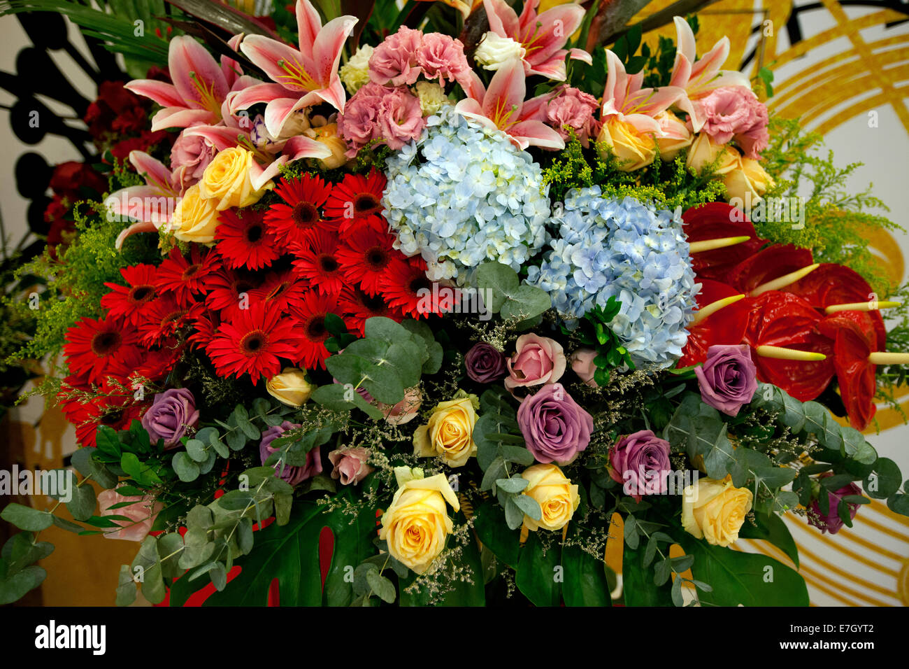 Anthuriums flower hires stock photography and images Alamy