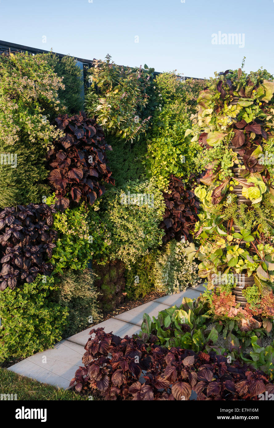 Garden A Taste of Wythenshawe living wall and towers of salad crops