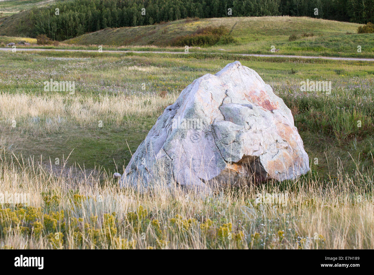 Quartzite glacial erratic transported by glacier ice in cold climatic conditions during the Pleistocene Ice Age, later used as a bison rubbing stone Stock Photo
