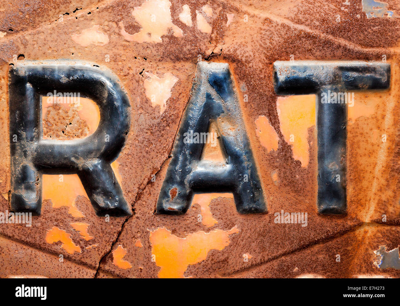 The word rat on rusty background Stock Photo