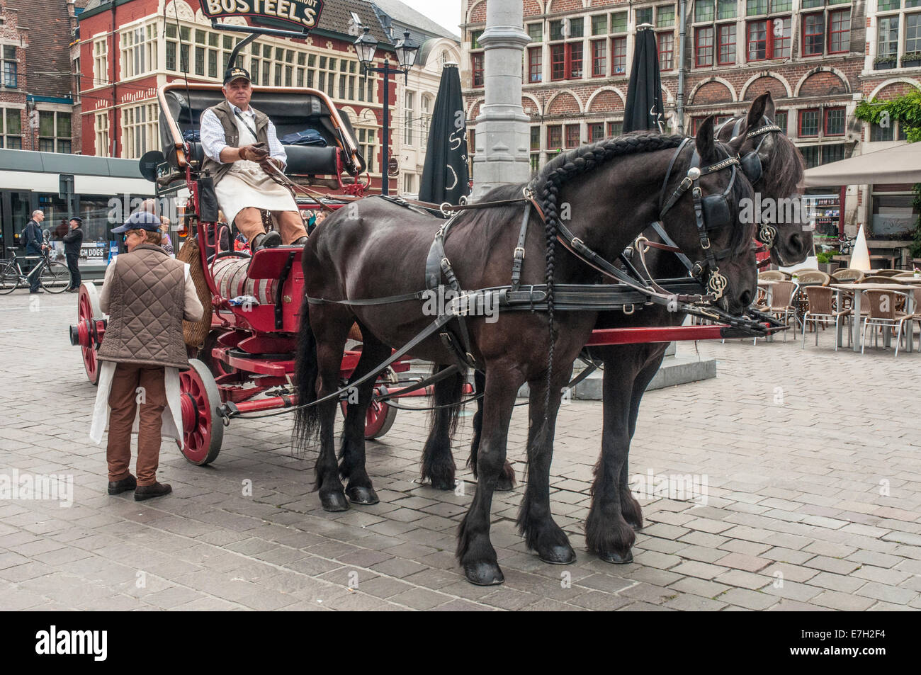 Horse-drawn brewery carriage, Ghent, Belgium Stock Photo